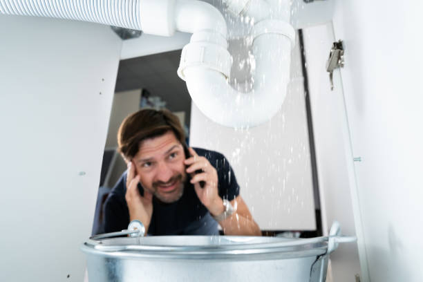 Best Leak Detection Services  in Savage, MN