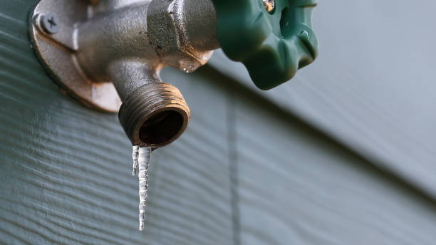 Best Commercial Plumbing Services  in Savage, MN